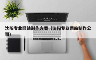 果洛沈阳专业网站制作方案（沈阳专业网站制作公司）